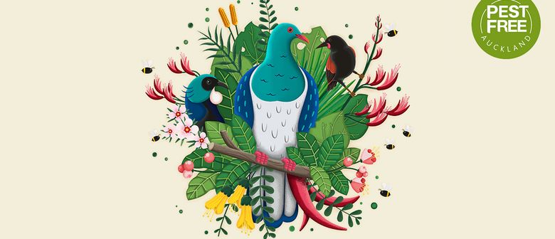 The Cacophony Project’s presentation at Pestival 2019