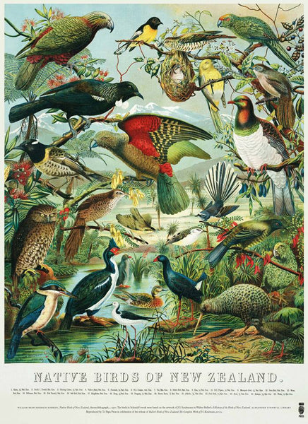 Birds recognised expanded to over 60