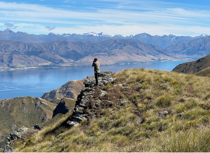 Bird monitors on Lake Hāwea Station