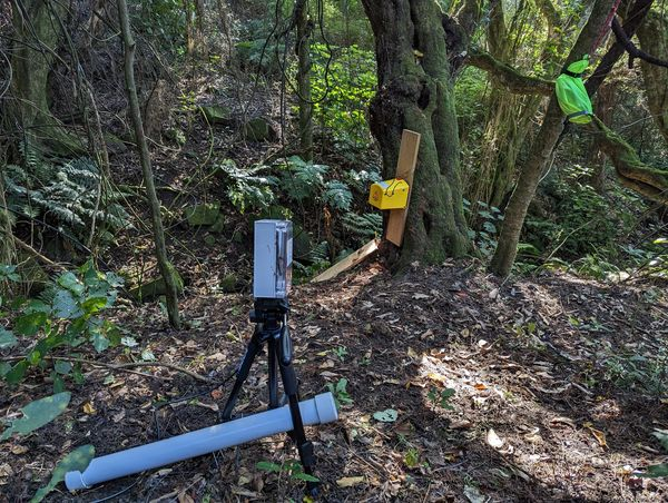 Rewild Wainui using thermal camera and bird monitor