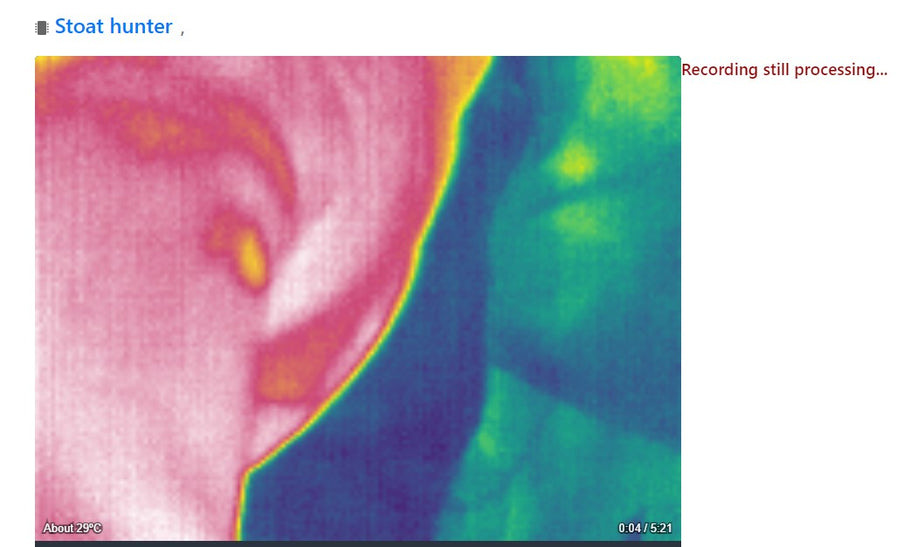 Slow processing of recordings