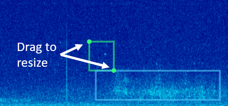Filtering and more on bird recordings