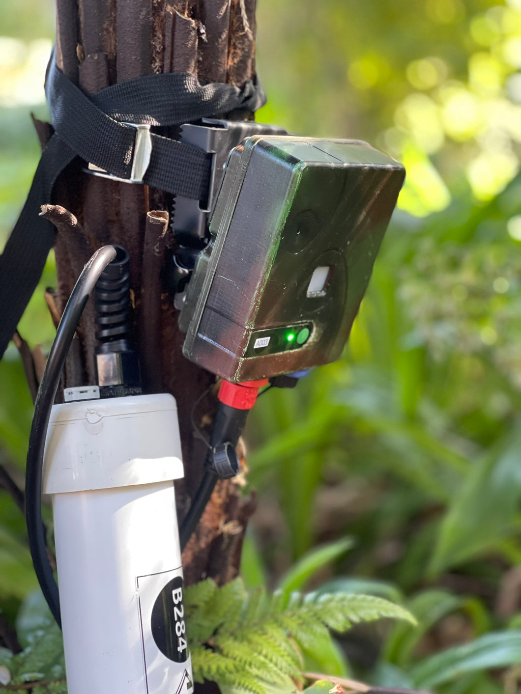 DOC AI Cam: Thermal camera from The Cacophony Project strapped to a tree