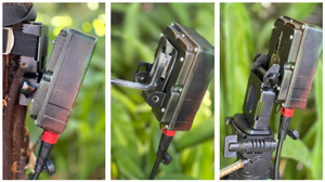 3 mounting options for the DOC AI Cam: strapped to a tree, on a screw spike, or on a tripod