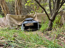 Load image into Gallery viewer, High interaction rate AI trap V3