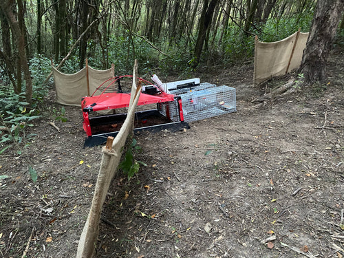 Self resetting blind snap trap with two cages