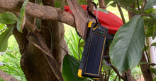 Load image into Gallery viewer, Bird monitor with solar power bank
