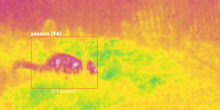 Load image into Gallery viewer, Thermal predator camera with machine vision