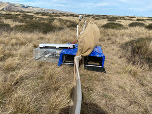 Cacophony trap in field