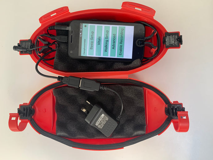 Automatic bird monitor